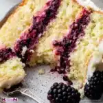 seedless blackberry cake filling